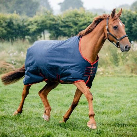 Equi-Sential Standard 200g Medium Turnout Rug