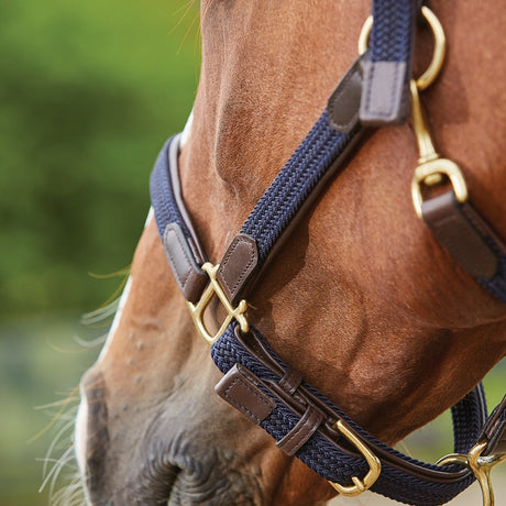 Kincade Braided Leather Headcollar #colour_navy