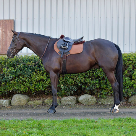 Weatherbeeta Prime Comfy Fleece Jump Shaped Saddle Pad #colour_brown