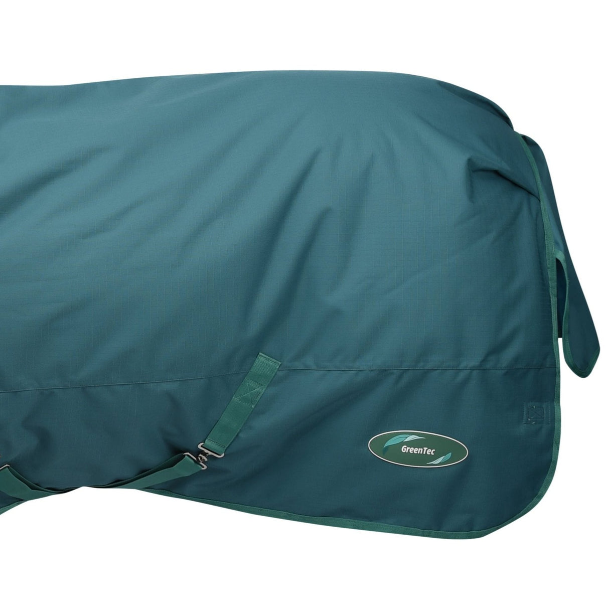 Weatherbeeta Green-Tec 1200D Detach-A-Neck Medium Turnout Rug #colour_dragonfly-blue-bottle-green