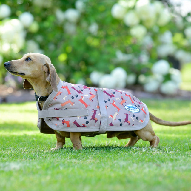 Weatherbeeta Comfitec Essential Dog Coat #colour_dachshund-print