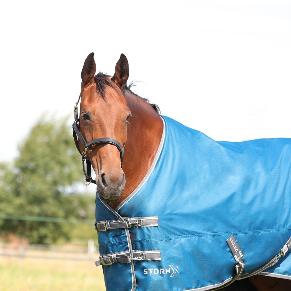 StormX Empra 50g Turnout Rug #colour_teal