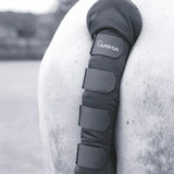 Shires ARMA Padded Tail Guard #colour_black
