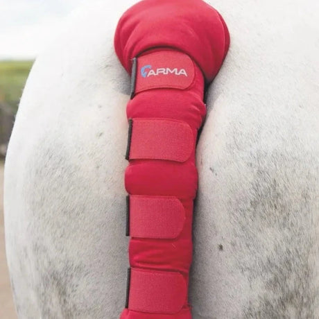 Shires ARMA Padded Tail Guard #colour_red