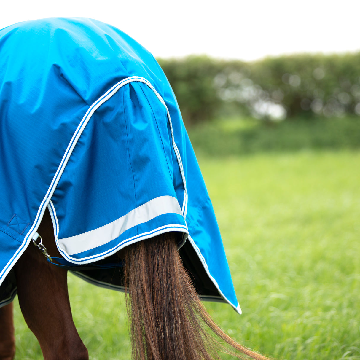 Shires Highlander Original 200g Turnout Rug #colour_blue