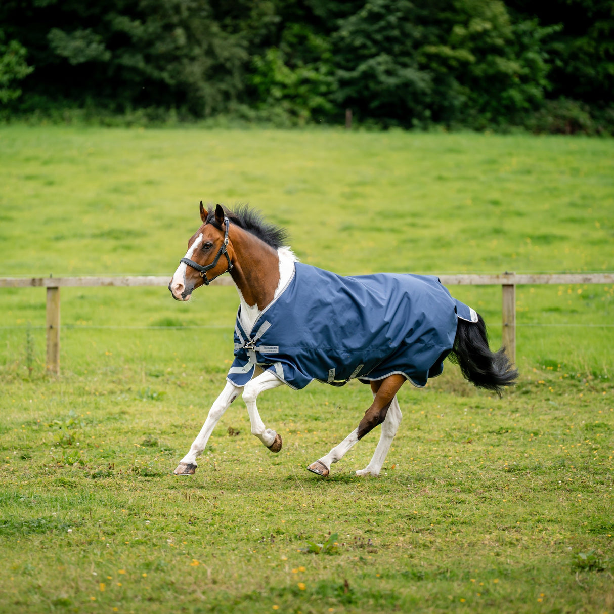 Horseware Ireland Amigo Bravo 12 XL 250g Medium Turnout Rug #colour_navy-titanium-grey-silver