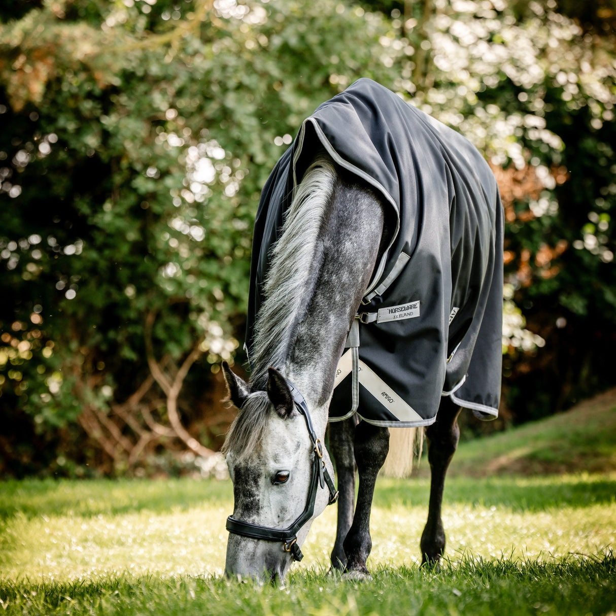 Horseware Ireland Amigo Bravo 12 Wug 0g Lite Turnout Rug #colour_black-titanium-grey-silver