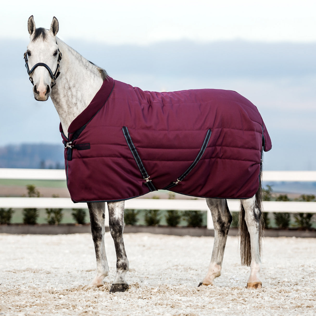 Horseware Ireland Rambo 250g Cosy Stable Rug