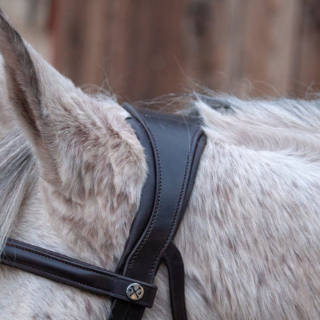 Henry James Sheepskin Grackle Bridle #colour_black