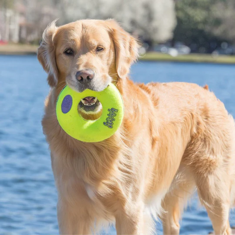 KONG Airdog Squeaker Donut #size_l