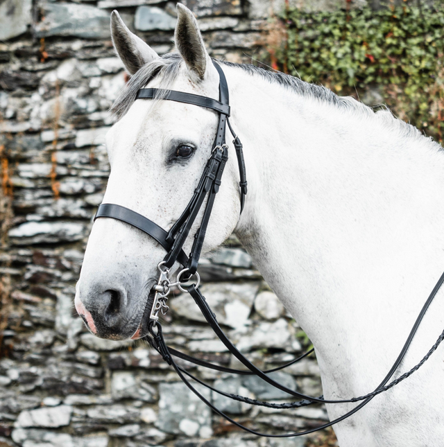 Mackey Classic Double Bridle #colour_black