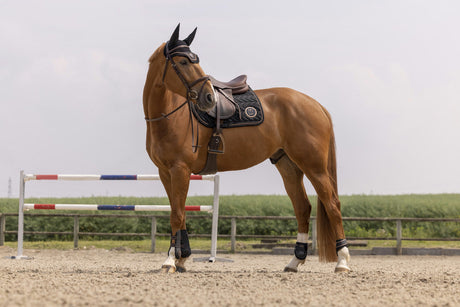 Equitheme Skolstart Saddle Cloth #colour_black