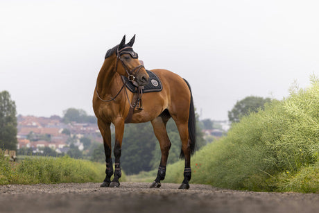 Equitheme Skolstart Saddle Cloth #colour_black