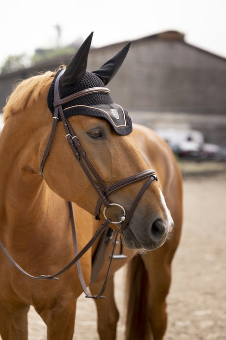 Equitheme Skolstart Fly Hood #colour_black