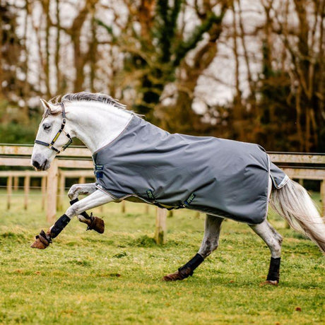 Horseware Ireland Amigo Bravo 12 Original 100g Turnout Rug #colour_shadow-navy-lime