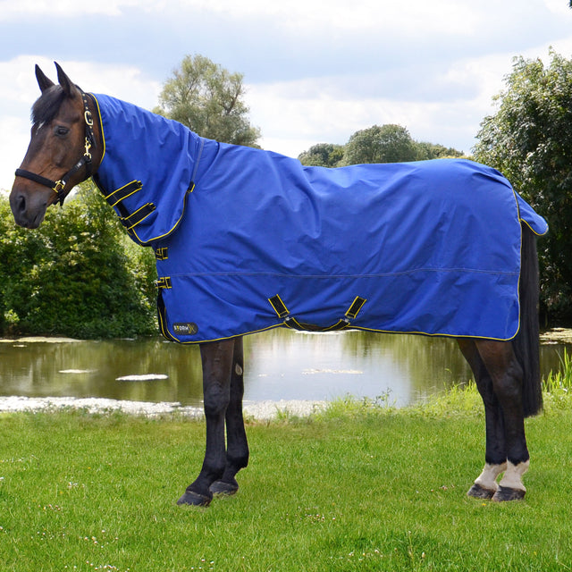 StormX Original 100g Combo Turnout Rug #colour_royal-blue-navy-yellow