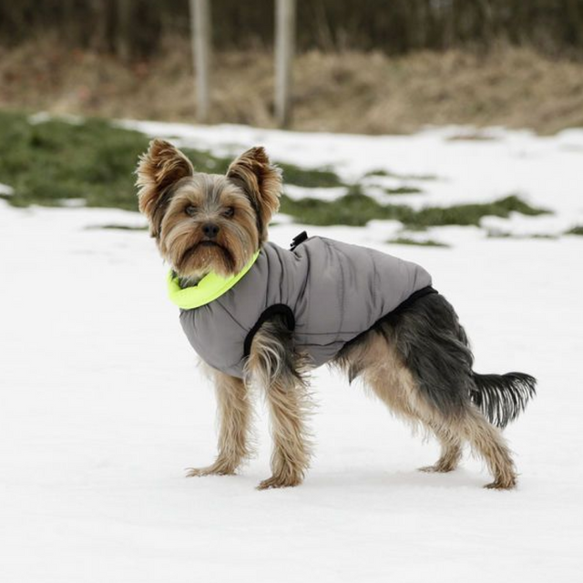 Kerbl Charmonix Quilted Dog Jacket #colour_green-neon-yellow