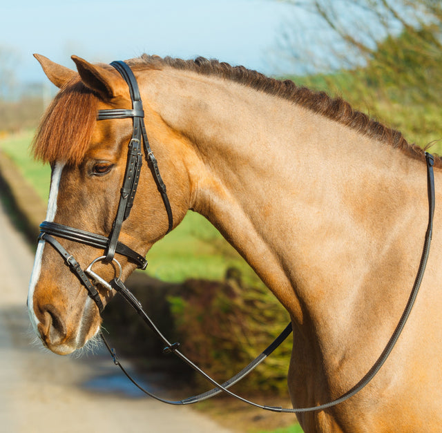 Mackey Classic Padded Flash Bridle #colour_black