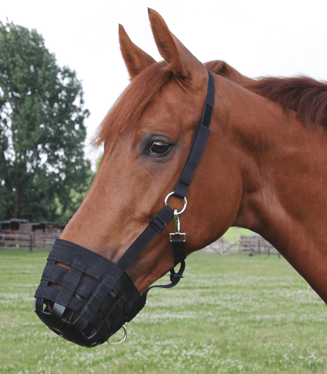 Waldhausen Grazing Muzzle #colour_black