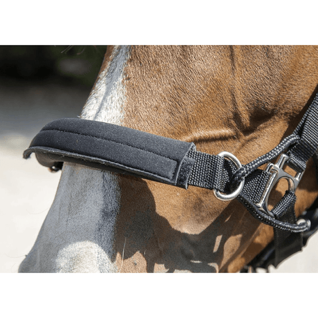 HKM Safe Control Style Head Collar #colour_black