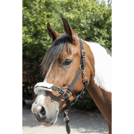 HKM Safe Control Style Head Collar #colour_black