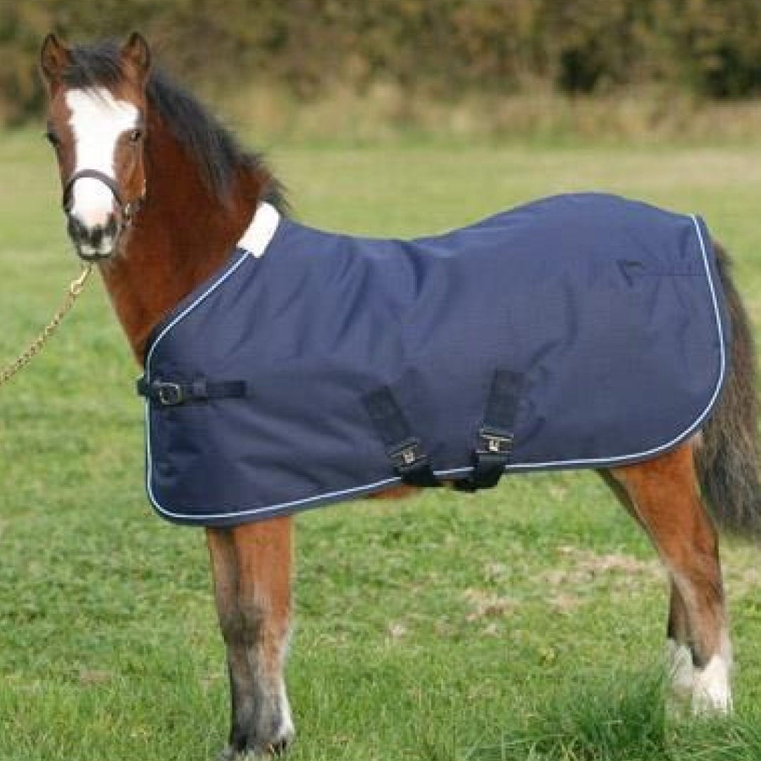 Mark Todd Foal Turnout Rug #colour_navy